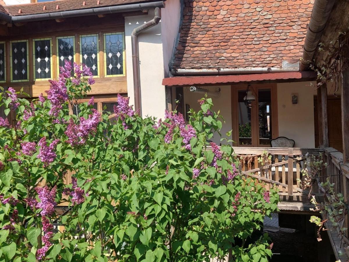 Fronius Boutique Residence Segesvár Kültér fotó